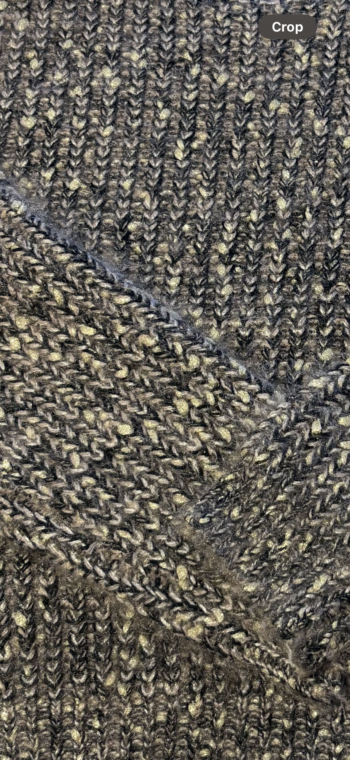 Gentle Fawn Bellatrix Sweater