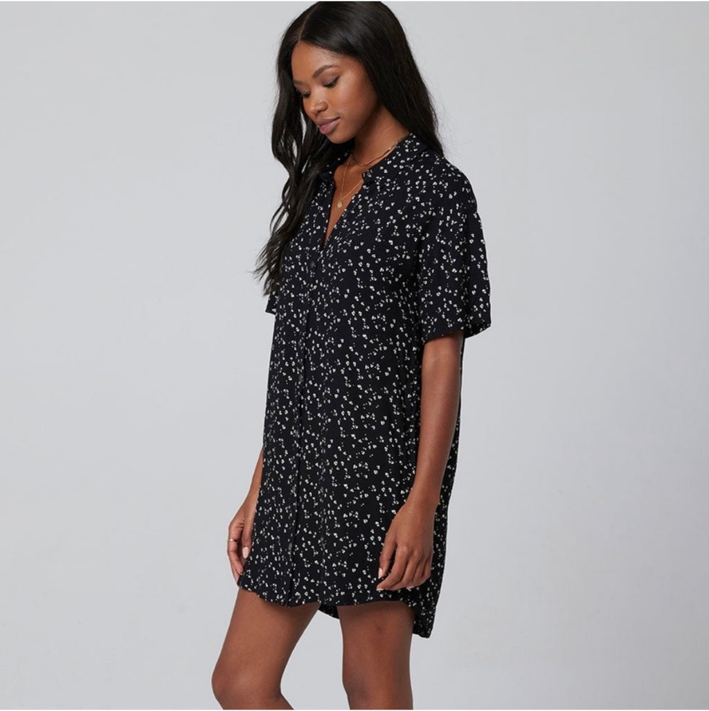 Saltwater Luxe Spotted Shirtdress