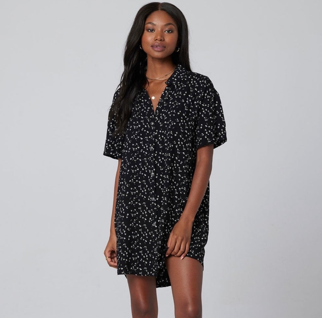 Saltwater Luxe Spotted Shirtdress